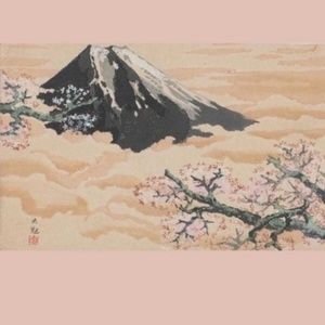 Meet your Posher, Elisa